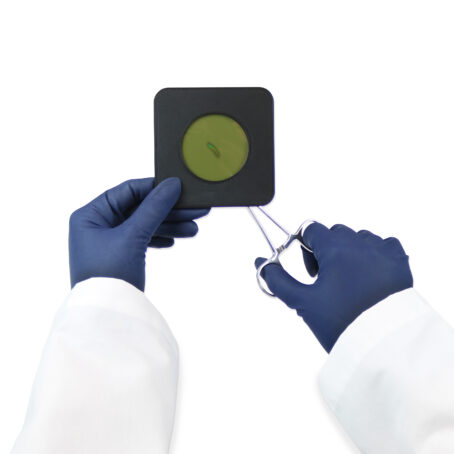 Magnetic Field Tester